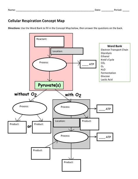 Cellular Respiration Concept Map For Kids