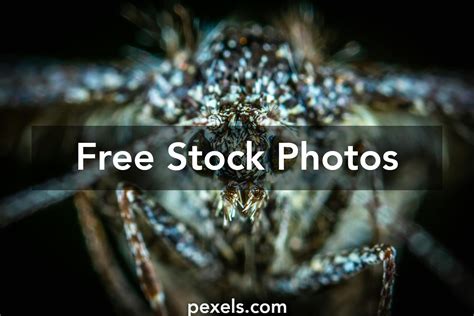 Image result for Introduction Vector