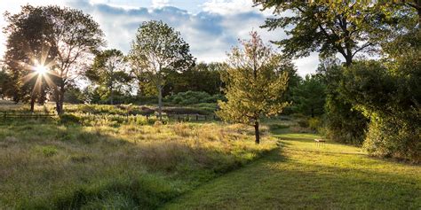 Walking Trails