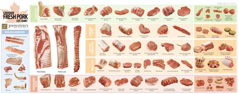 How Many Types Of Pork Are There at Dale Mack blog