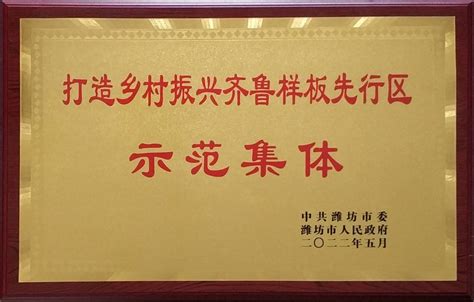 我院荣获潍坊市“打造乡村振兴齐鲁样板先行区示范集体”荣誉称号-学院网站