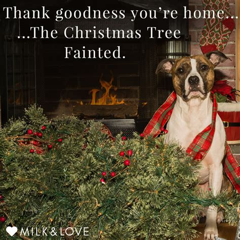 Merry Christmas Funny Meme