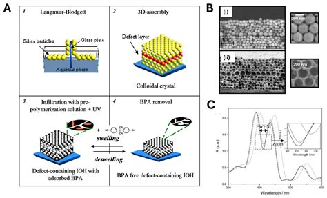Advances in the Direct Nanoscale Integration of Molecularly Imprinted ...