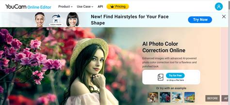 Image result for Printer Color Fixer