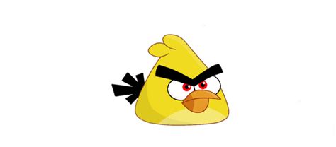 Image result for Bucky Python Tutorial 1