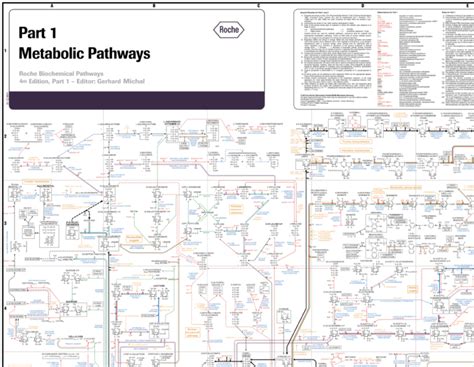 Biochemistry Process Map 的图像结果
