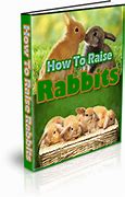 Image result for How to Raise Rabbits
