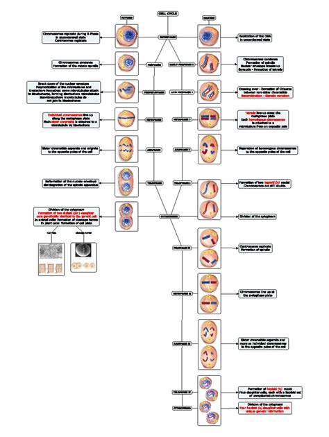Class 10 Science Formula Sheet: Physics & Chemistry Essentials - Studocu