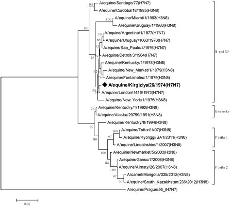 Retrospective Analysis of the Equine Influenza Virus A/Equine/Kirgizia ...