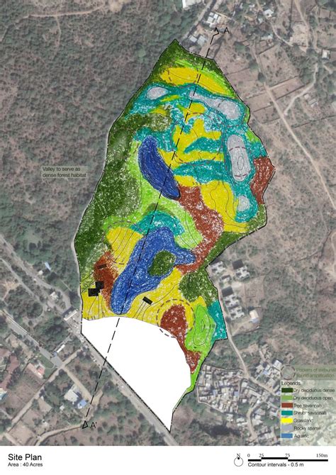 The valley of chirps | CEPT - Portfolio