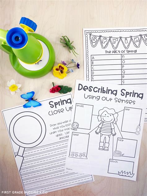 First Grade Science 的图像结果