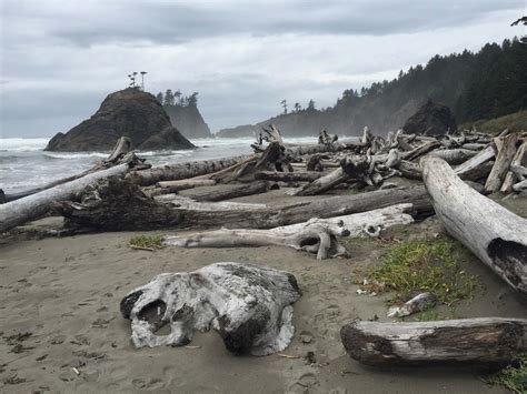 La-Push-Beach.jpg (3264×2448)