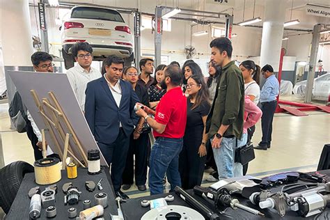 Exclusive Insights into Automotive Luxury
