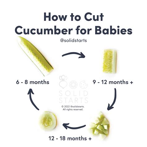 Cucumber for Babies - Can Babies Eat Cucumber? - Solid Starts