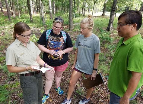 Image result for Project Learning Tree Activities