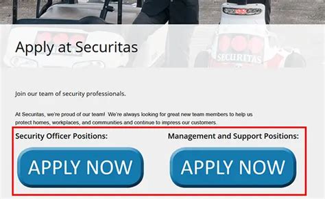Application Processing 的图像结果