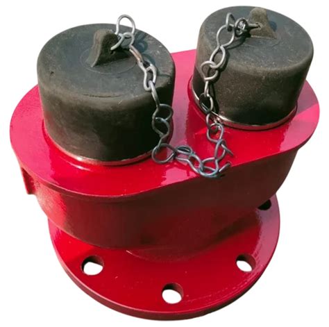 Image result for Fire Brigade Inlet Connection