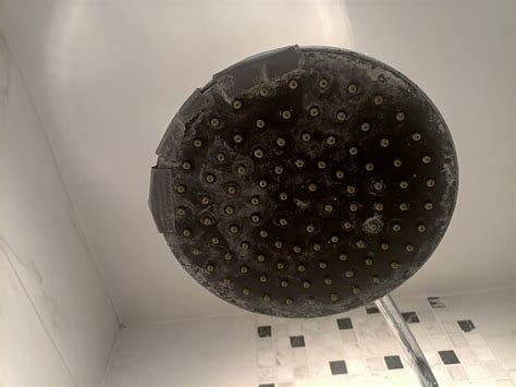 MAISON ROOSEVELT - CHARLEROI AIRPORT (Gosselies) - Lodging Reviews ...