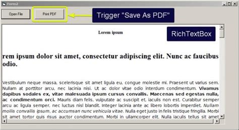 Image result for Print RichTextBox Vb.net