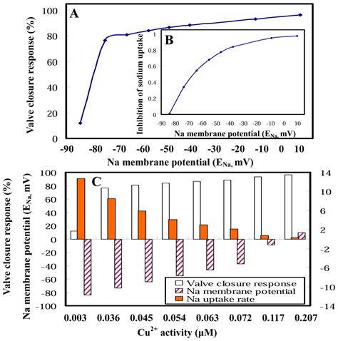 Sodium Gill Potential as a Tool to Monitor Valve Closure Behavior in ...