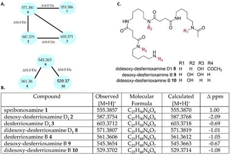 Novel South African Rare Actinomycete Kribbella speibonae Strain SK5: A ...