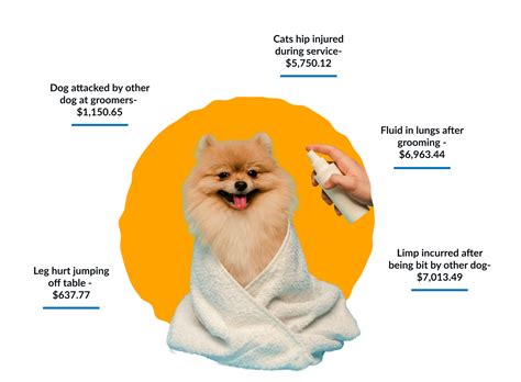 Dog & Pet Grooming Business Insurance | PCI