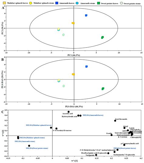 Variation in the Main Health-Promoting Compounds and Antioxidant ...