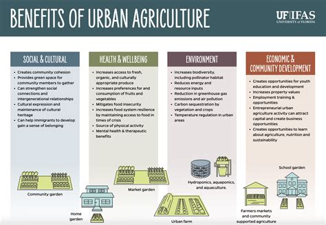 Urban Gardening | OER Commons