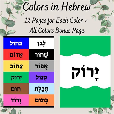 Image result for Hebrew Color Song