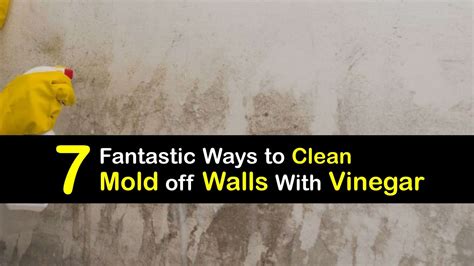 Moldy Painted Wall - Remove Mold From Walls With Vinegar