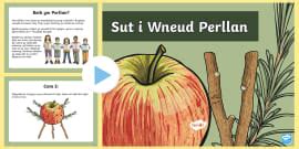What is Hen Galan? Welsh New Year Traditions - Twinkl