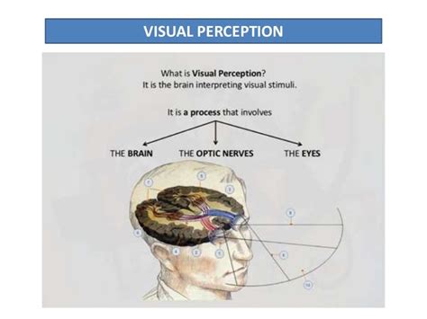 Image result for Visual Perception Examples