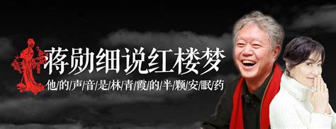 收藏〡蒋勋《细说红楼梦》全集（共480集）-搜狐大视野-搜狐新闻