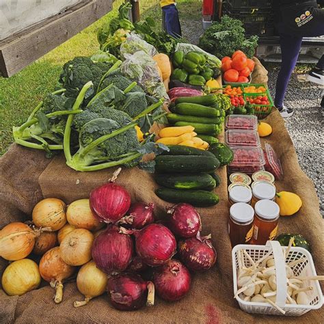 Foster Family Farm Reopening, Barrhaven, Ottawa, 20 September 2024 ...