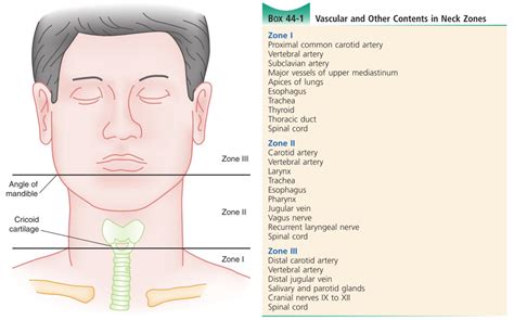 Penetrating neck injury | Deranged Physiology
