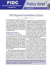 Policy Briefs | RIS