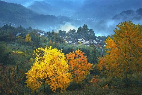 早安风景 的图像结果