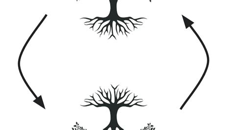 Image result for Binary Search Tree Algorithm