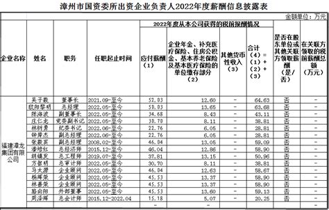 漳州市国资委所出资企业负责人2022年度薪酬信息披露表-漳龙