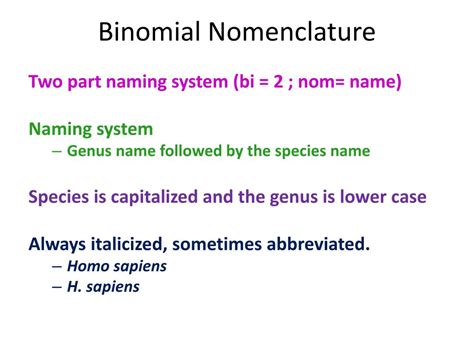 Sorting Classification Different 的图像结果