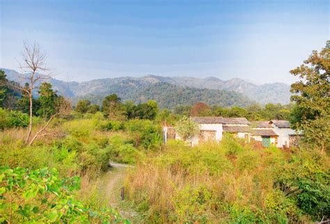 Paatlidun Safari Lodge is celebrated as one of the best luxury resort ...