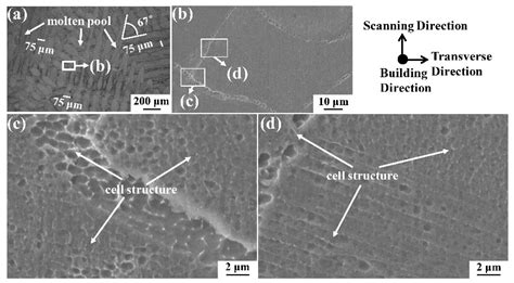 Acoustic Properties of 316L Stainless Steel Lattice Structures ...