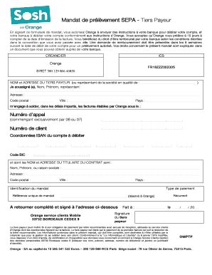 Mandat De Pr L Vement SEPA - Tiers Payeur - Orange - Boutique Orange ...