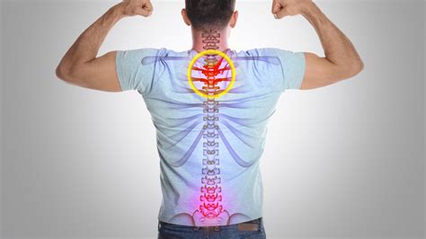 Image result for Spinal Health Exercises