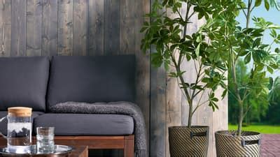 Artificial Flowers - Buy silk flowers online at best prices - IKEA