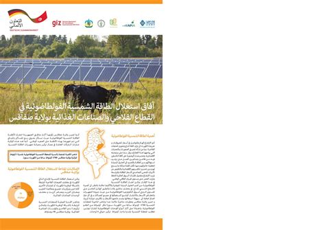 File:BROCHURE SFAX-AR. WEB.pdf - energypedia