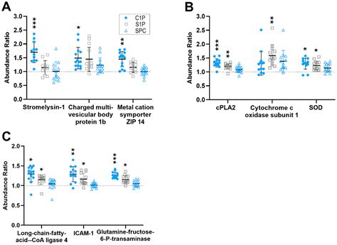 Functional Insights into the Sphingolipids C1P, S1P, and SPC in Human ...