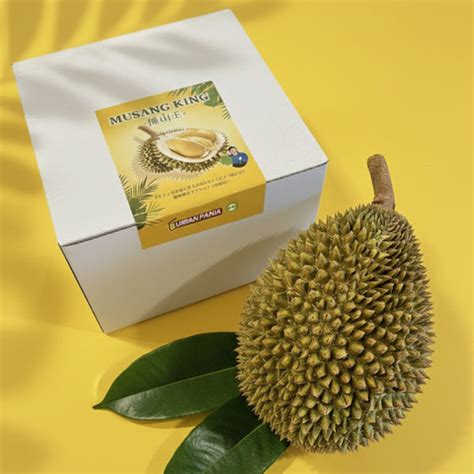 Image result for Delphi Array of String
