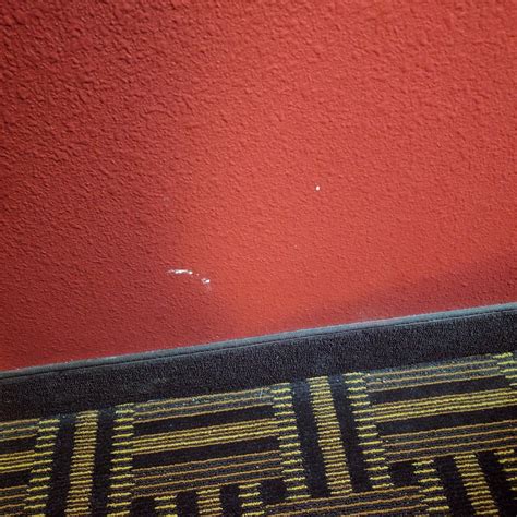 SPARK BY HILTON GLENDIVE - Hotel Reviews, Photos, Rate Comparison ...