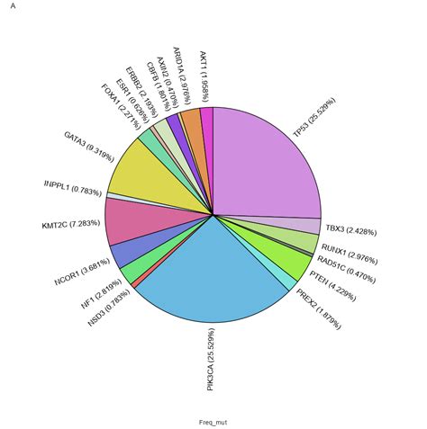 Add Labels On the Pie Graph 的图像结果